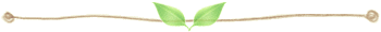Reiki initiation Usuisiki
