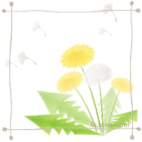 reiki